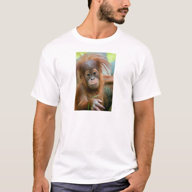 Camiseta O bebê bonito Orangutan está hetero à frente (Frente)