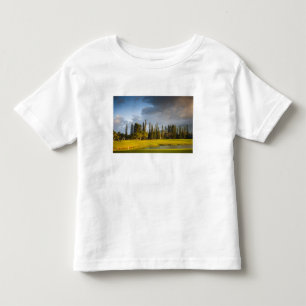 Camiseta O campo de golfe Makai em Princeville