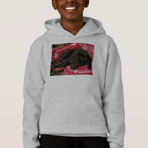 Camiseta O cão sonolento caçoa a camisola encapuçado