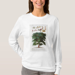 Camiseta O cedro, gravado por Johann Jakob Haid (1704-67)