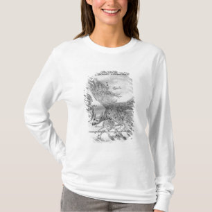 Camiseta O cometa descoberto e observado por Johannes