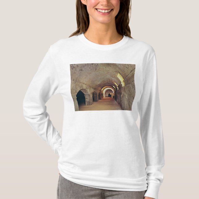 Camiseta O cripto-porticus (Frente)