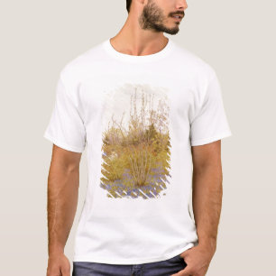 Camiseta O cuco
