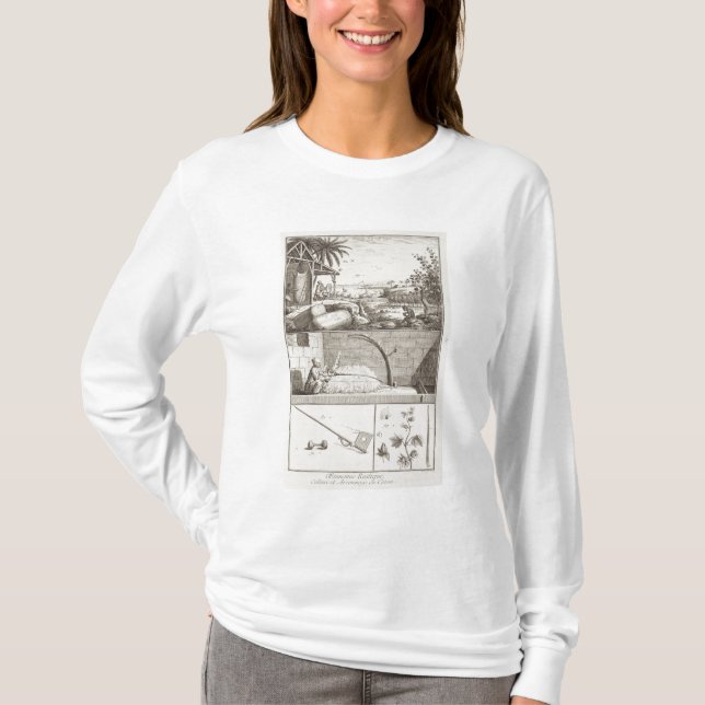Camiseta O cultivo do algodão, 'do Encyclopedia (Frente)