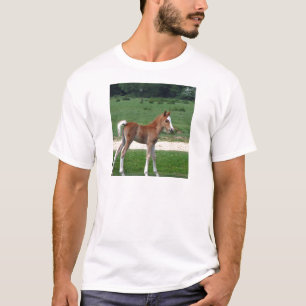 Camiseta O Destino De Bebê Bonito Oferece O Springtime Ador
