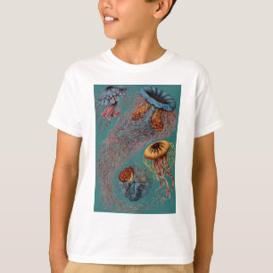 Camiseta O disco Medusae de Ernst Haeckel