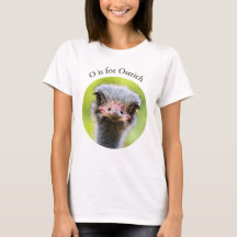 O é para o alfabeto do pássaro sem voo de fecho de