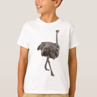 O é para Ostrich