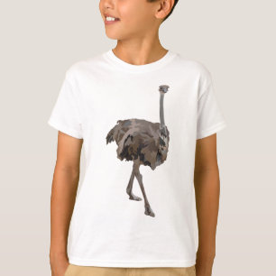 Camiseta O é para Ostrich