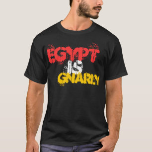CAMISETA O EGITO ESTÁ INFERIOR