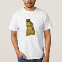 O esquilo na sua camisa!