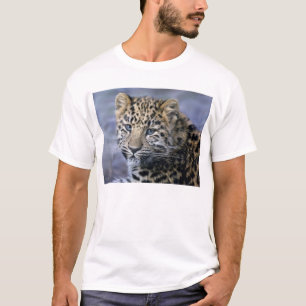 Camiseta O leopardo Cub Tee