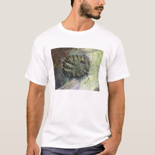 Camiseta O Massif de Brandberg em Namíbia do norte