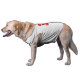 Camiseta O Melhor Amigo Da Polícia Canina (Lateral)