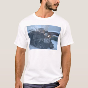 Camiseta O motor expresso polar