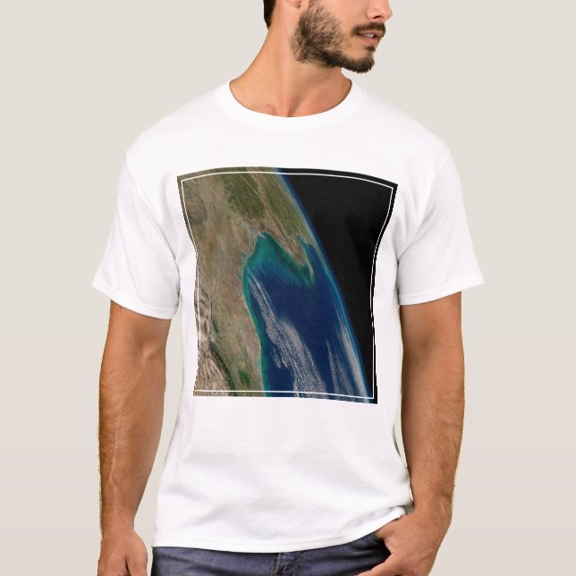 Camiseta O Norte Golfo Do México. (Frente)