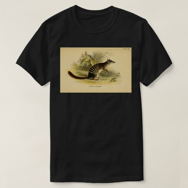 Camiseta O número Myrmecobius fasciatus aqui como Banded An (Frente do Design)