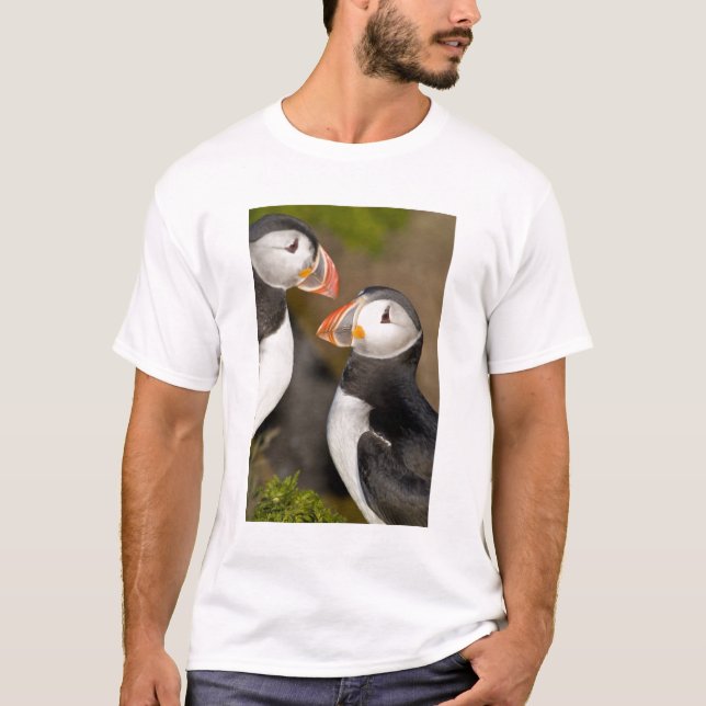 Camiseta O Papagaio-do-mar (Frente)