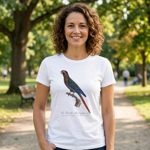 Camiseta O periquito-pintado, Pyrrhura Picta