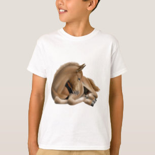 Camiseta O potro do sono caçoa a camisola