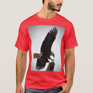 Camiseta O Pouso
