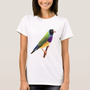 Camiseta O preto enfrentou o passarinho de Gouldian