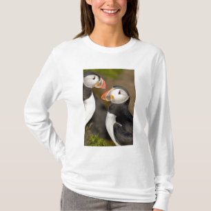 Camiseta O Puffin Atlântico