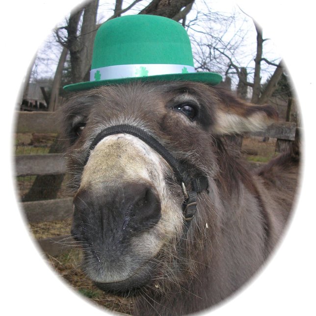 Camiseta "O Que Você Está Olhando?" (Criador carregado)