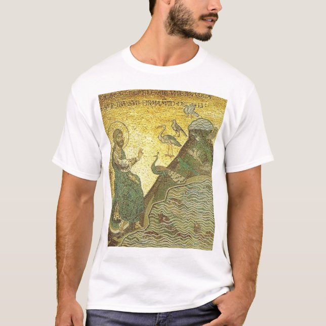 Camiseta O quinto dia da criação (Frente)