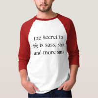 o segredo à vida é sass, sass e mais sass