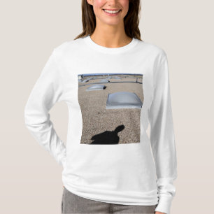 Camiseta O sistema de iluminação do dia solar