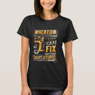 Camiseta O sobrenome Wheaton Pode Corrigir Qualquer Coisa E