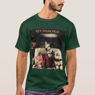 Camiseta O sucesso ainda não me estragou amigo