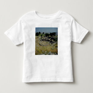 Camiseta O teatro grego