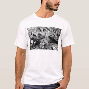 Camiseta O urso de Barr sobre 10 pés de comprimento, Alaska