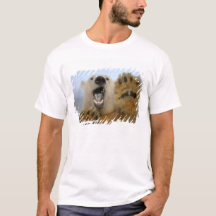 Camiseta o urso polar, maritimus do Ursus, olha curiosa em