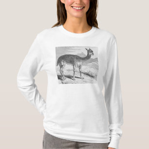 Camiseta O Vicuna no Rio de Azufre