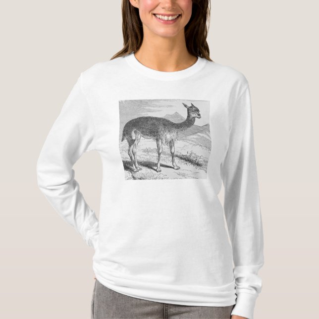 Camiseta O Vicuna no Rio de Azufre (Frente)