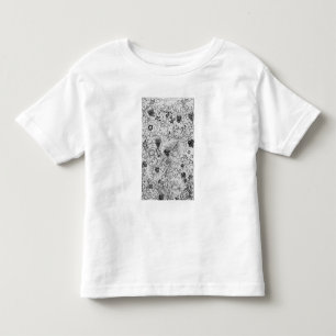 Camiseta O Vine', 1878