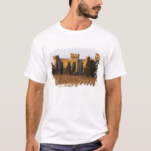 Camiseta O vinhedo com videiras syrah e o castelo