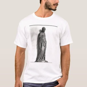Camiseta O Virgin do aviso
