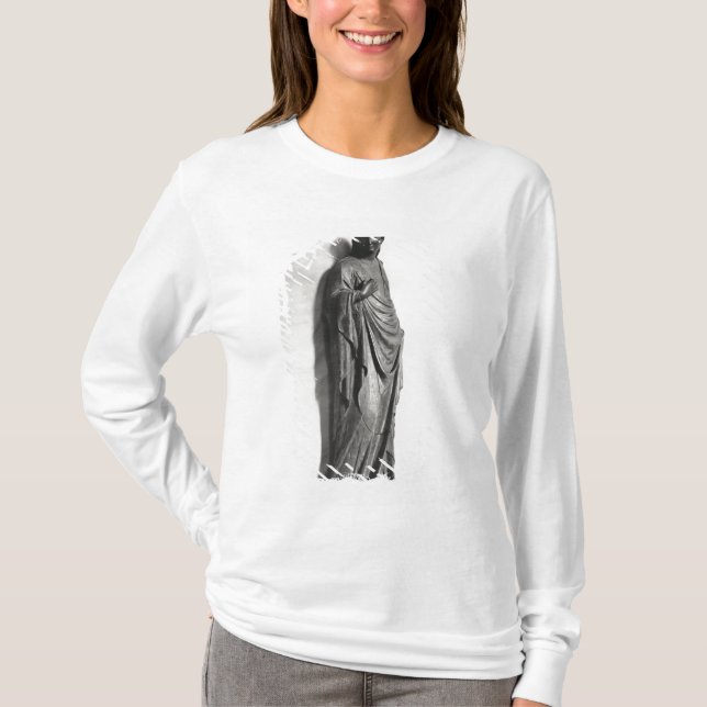 Camiseta O Virgin do aviso (Frente)