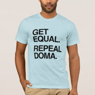 Camiseta OBTENHA IGUALDADES - REPUDIE DOMA.png