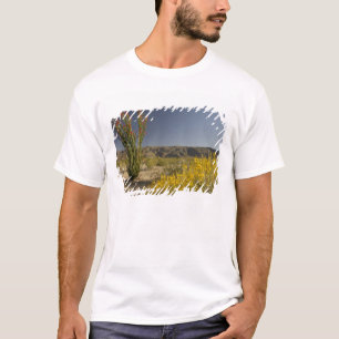 Camiseta Ocotillo e senna do deserto