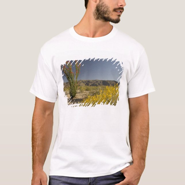 Camiseta Ocotillo e senna do deserto (Frente)