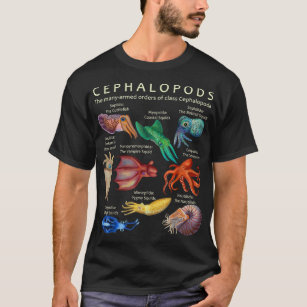 Camiseta Octopus, Lula, Choco e Nautilus
