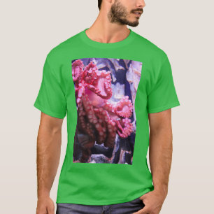 Camiseta Octopus segurando um jar no Aquário do Tennessee