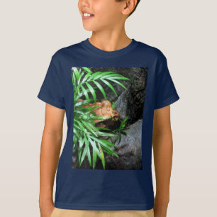 Camiseta Ocultar o Sapo CB