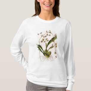 Camiseta Odontoglossum Hastatum