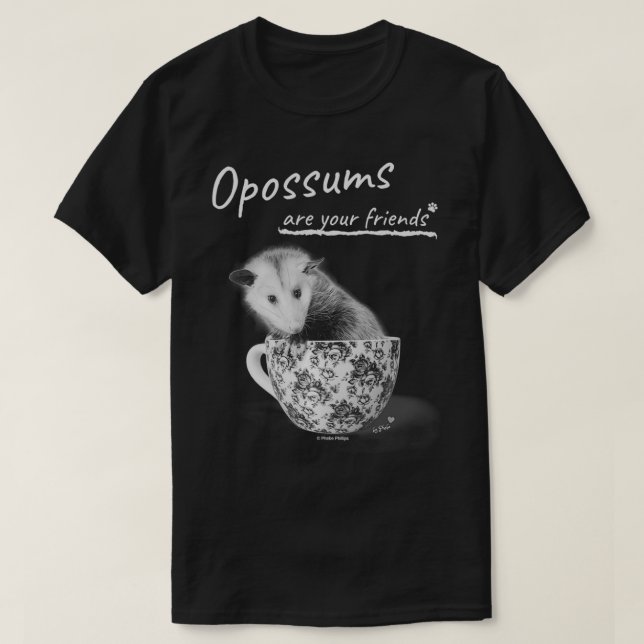 Camiseta Ogambms São Seus Amigos (Frente do Design)
